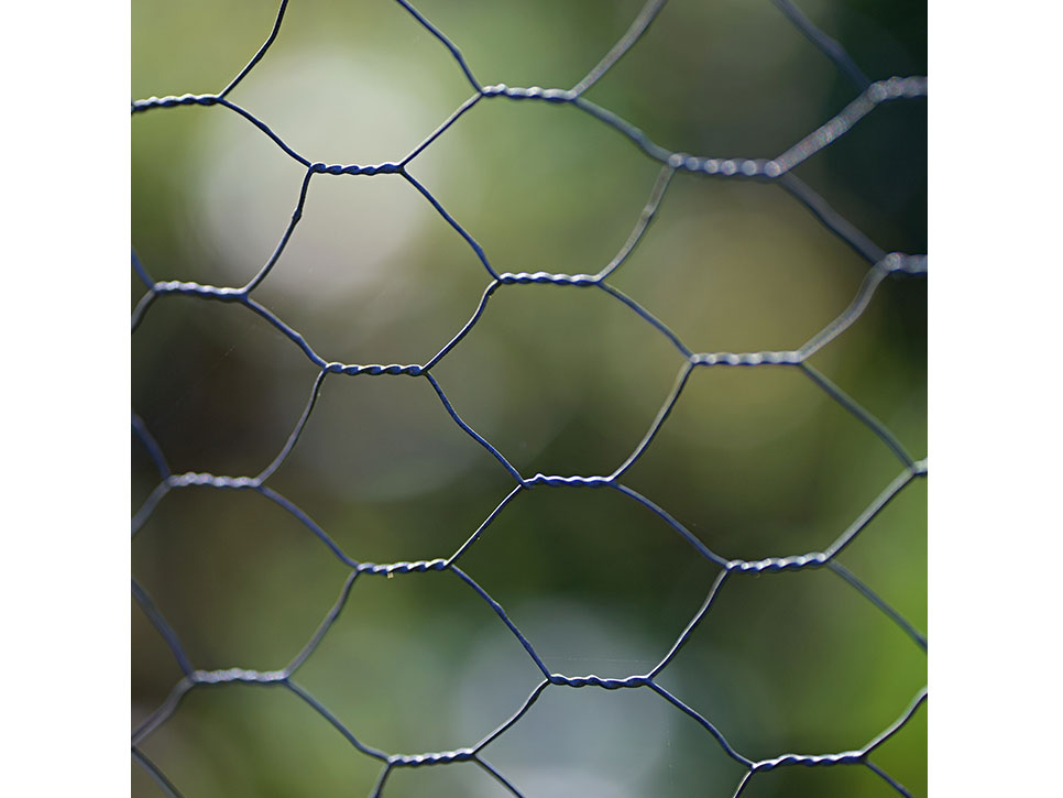 chicken wire 90cm x 10m Shiploads