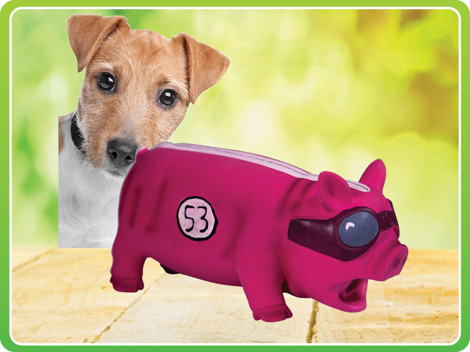 dog toy latex pig Shiploads