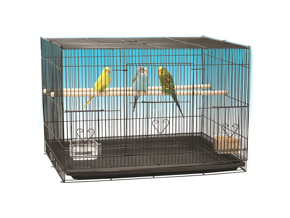 cage dimensions needed for rose cockatoo